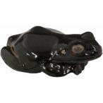 I live(アイリブ) light 蛙 [ピアノブラック] レッドLED