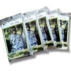 TIGER большой размер. предотвращение бедствий покрывало спасательное одеяло защищающий от холода теплоизоляция сиденье 160x240cm. большой размер размер эвакуация сопутствующие товары автомобильный большой снег не обычно. 