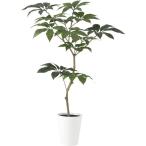 ツピダンサス FST W90×H150cm 91603 アーティフィシャルグリーン 人工観葉植物 鉢付きグリーン