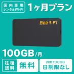 wifi レンタル 月間 100GB 1ヶ月 月末ま