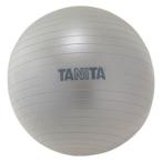 tanitaTS-962 Jim мяч серебряный 