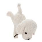  Sega fe Eve здесь .... делать крем 