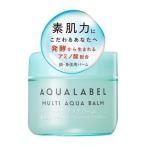 ����Ʋ��SHISEIDO��  �������졼�٥� ������������ͥ� �ޥ���������С��� (100g)