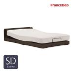 [ полуторный ] France Bed электрический кроватная рама UD102CLGRXKDAIOTM темный 