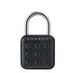 OFAPLFKUR Keyless Fingerprint Lock with Tuya APP Smart Padlock Waterproof Door Lock 0.2sec Unlock Portable Anti-Theft Padlock for Offices(SY13 Passwor