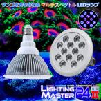 最新仕様【国内組立て】1年保証付 55,000K Lighting Master 24DCII【UVディープ】蛍光サンゴ育成・鑑賞用マルチスペクトル E26 スポットLEDランプ