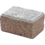 【並行輸入品】SWIX(スウィックス) �