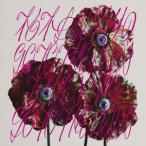 【CD】柏木由紀なりのGO TO THE BEDS-TRUE SONG