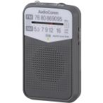  ом электро- машина RAD-P133N-H AM|FM карман радио серый RADP133NH