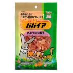 スドー  ＳＤフルーツ王国　パパイヤ  ８０Ｇ