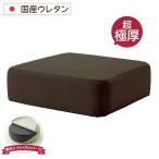 クッション スクエアタイプ 低反発 厚み17cm 超極厚 ボリュームクッション 脱着式カバー 国産ウレタン Pastel 送料無料〔代引不可〕