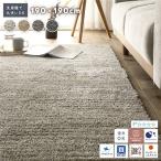 ミックスパイル ラグ 約190×190cm 洗える 日本製 国産 軽量 防ダニ アレルブロック 遊び毛防止 オールシーズン ホットカーペット可 フロアマット 送料無料