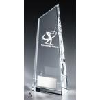  Trophy [ бесплатная доставка & знак бесплатный ] crystal стекло. Trophy VT3400-A размер * высота 240mm