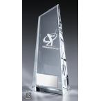  Golf [ бесплатная доставка & знак бесплатный ] crystal Trophy VT3400-B размер * высота 215mm