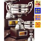 ͥ�����åס�����̵����ʸ��̵����30��OFF���⤵355�������ȥ��ե�����ͥ�����åס���塡���å������Х����åȥܡ��롡���С���ƻ����ƻ������ NS305-A