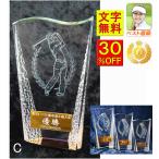 トロフィー【文字無料】高さ160ｍｍ