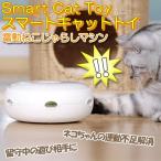 猫 おもちゃ ねこ 猫のおもちゃ 交換用羽毛 1本プレゼント おもちゃ 電動 自動 電池式 自動 子猫 遊具 遊び道具 スマートキャットトイ 送料無料