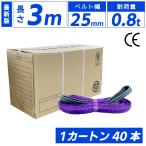 スリングベルト 3m 800kg 25mm ベルトスリング 玉掛け 40本 引っ越し 大量 吊り具 荷重表 種類 運搬用ベルト 運搬用スリング 吊具  爆買