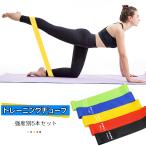 トレーニングチューブ エクササイズバンド 5本セット 筋トレ フィットネス チューブ 美尻 強度別 ループバンド 収納袋付き