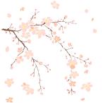 ウォールステッカー 北欧 桃の花 ツリー はがせる おしゃれ 壁ウォールステッカー 壁シール ウォールステッカー 春 花 ガーデニング 壁紙 部屋 寝室 キッチン