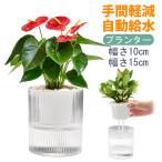  цветочный горшок посадочная машина 5 номер 3 номер модный дыра имеется автоматика водоснабжение . вода шнурок белый прозрачный трещина нет интерьер часть магазин офис салон украшение декоративное растение .. изменение суккулентное растение Северная Европа дешевый 