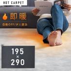 ホットカーペット 4畳 本体 電気カーペット ホットマット おしゃれ 床暖房 電気マット 省エネ ダニ退治 195cm×290cm