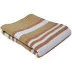 電気毛布 キャンプ ひざ掛け おしゃれ 毛布 節電 省エネ TEKNOS 120×80 HM-1292