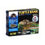 ta-toru банк S PT3800 GEX(jeks) земноводные ракушка ta- отходит остров вода .game автобус King спот магнит лягушка ....