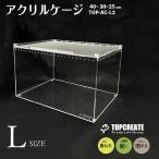 アクリルケージ(レプタイル用ボックス)  L ワイドハイ クリア TOP-AC-L2  TOPCREATE(トップクリエイト)