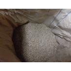 無施肥無農薬栽培 長野県産小麦 玄麦 1kg