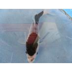  цветной карп 18cm... весна . серия . другой неизвестен. No.0468