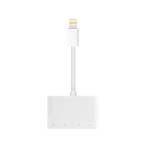 ショッピングsdカード iPhone iPad SD カードリーダー 4in1 USB 接続 Lightning データ 転送 写真 バックアップ SDカード TFカード USBメモリ ((S