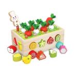 木のおもちゃ おもちゃ 知育玩具 型はめ 引っ付き虫 積み木 子ども 出産祝い