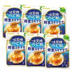 ショッピングエキナセア 6個セット UHA味覚糖 味覚糖のど飴 蜂蜜エキナセア 61g