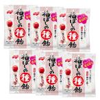 ショッピングお菓子 6個セット ノーベル 梅ぼしの種飴 キャンディ お菓子 30g