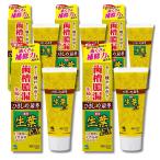 ショッピングハーブ 5個セット 小林製薬 生葉EX 歯槽膿漏を防ぐ 薬用ハミガキ ハーブミント味 100g