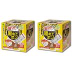 2個セット 小久保工業所 紀陽除虫菊 残った麺スープ 固めてポン 30包入(30回分) 凝固剤