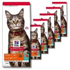 6個セット ヒルズ サイエンス・ダイエット 猫 アダルト まぐろ 成猫用  1〜6歳 1.4kg