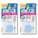 2個セット アース らくハピ お風呂の排水口用 ピンクヌメリ予防 防カビプラス 浴室 床 ぬめり防止