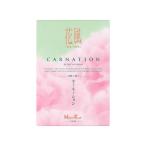 ショッピングカーネーション 日本香堂 花風 カーネーション ミニ 75g