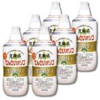 6 шт. комплект Kato прекрасный пчела . Sakura печать Hokkaido ....oligo золотой. oligo830g