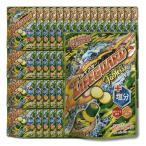 16個セット ライフガードタブレット塩分プラス 70g