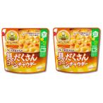 2個セット 江崎グリコ クレアおばさんの具だくさん コーンチャウダー 180g