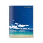 HAKUBA アルバム PポケットアルバムNP 2Lサイズ 20枚 海と鳥 APNP-2L20-UTT