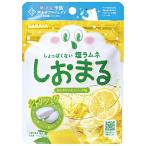 shi горшок .... лимон soda тест 30g