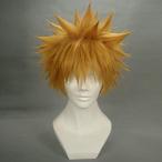 Anime Cosplay Wig Bl