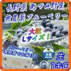 ブルーベリー 1kg 無農薬 国産 生 大粒 Lサイズ 長野県 安曇野 500g × 2パック 送料無料 百笑