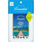 Laundrin' ランドリン 2026年 ペーパーフレグランス フレッシュモヒート 1枚