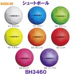  - tachiHATACHI Shute мяч BH3460 ground Golf для мяч /2025FW