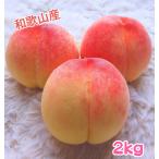 u.. молдинг Wakayama. персик 2kg(6~10 шар ).. прямая поставка прекрасный ............ ..plipli×.... персик прямая поставка от производителя товар вид случайный подарок на Bon Festival тоже рекомендация 